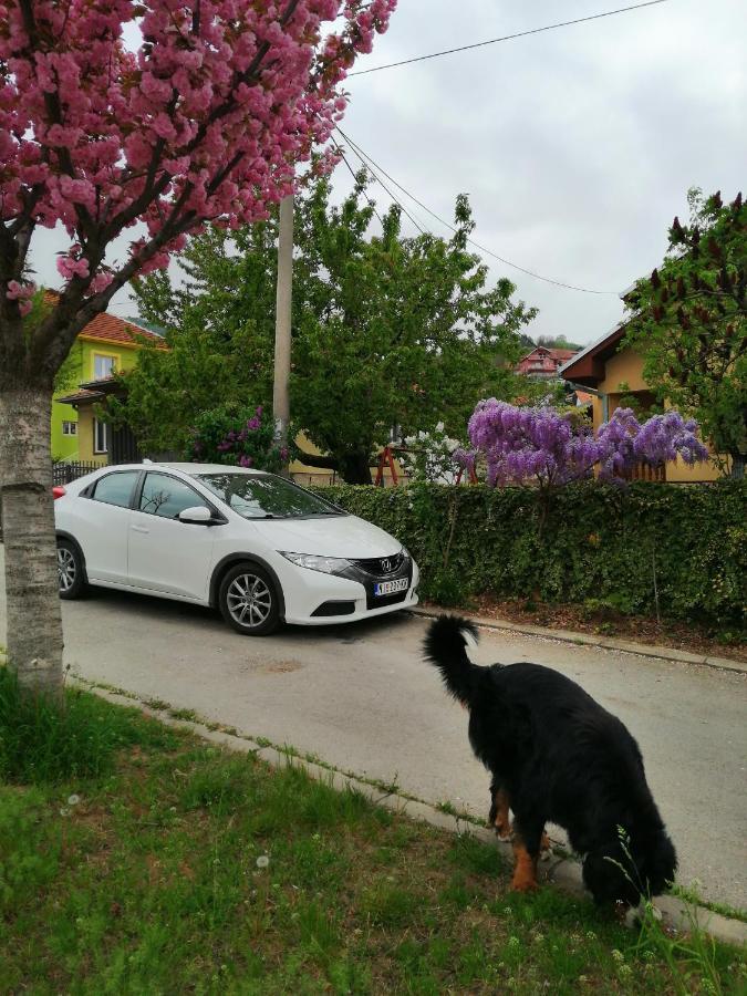 Apartament Pansion Velickovic Niska Banja Zewnętrze zdjęcie