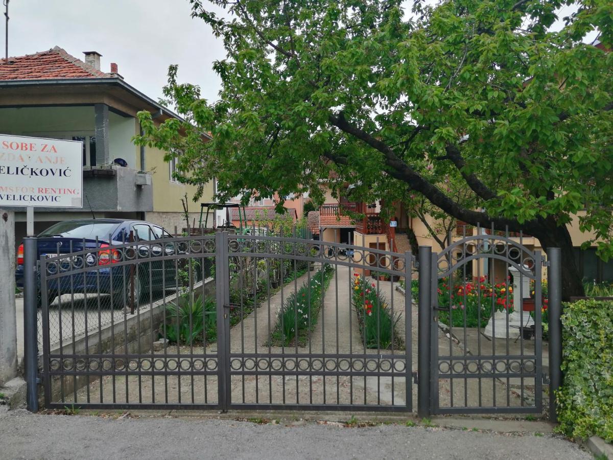 Apartament Pansion Velickovic Niska Banja Zewnętrze zdjęcie