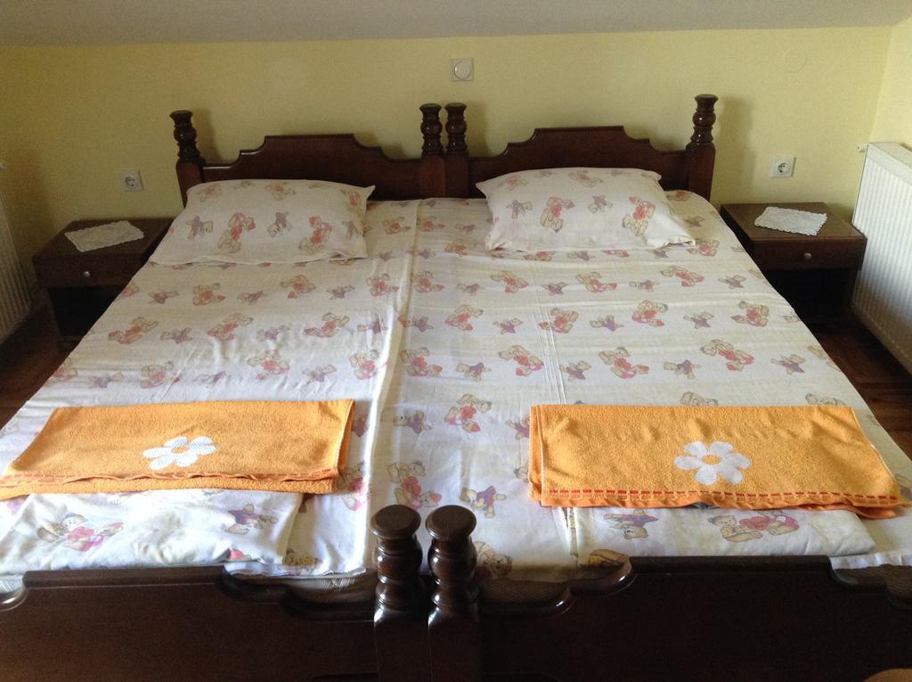 Apartament Pansion Velickovic Niska Banja Pokój zdjęcie
