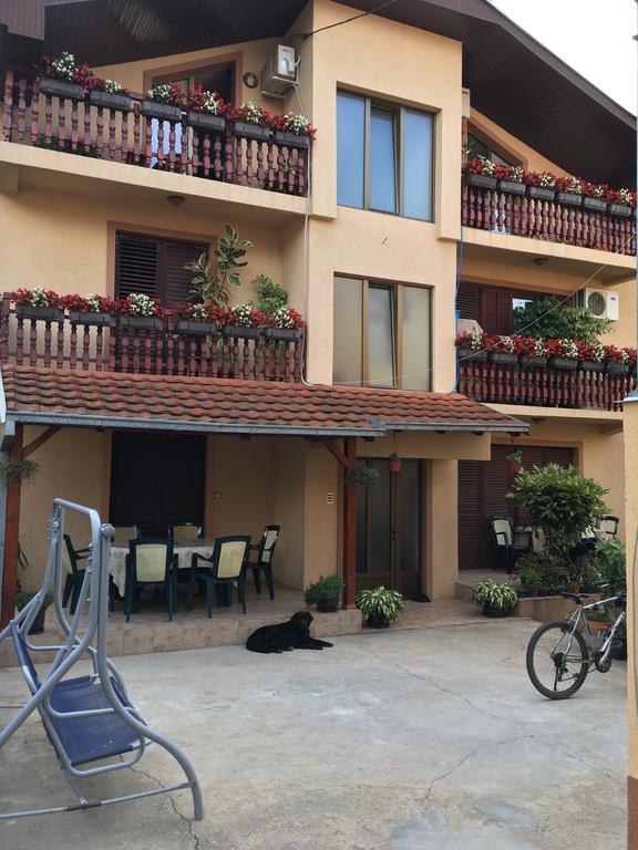 Apartament Pansion Velickovic Niska Banja Zewnętrze zdjęcie