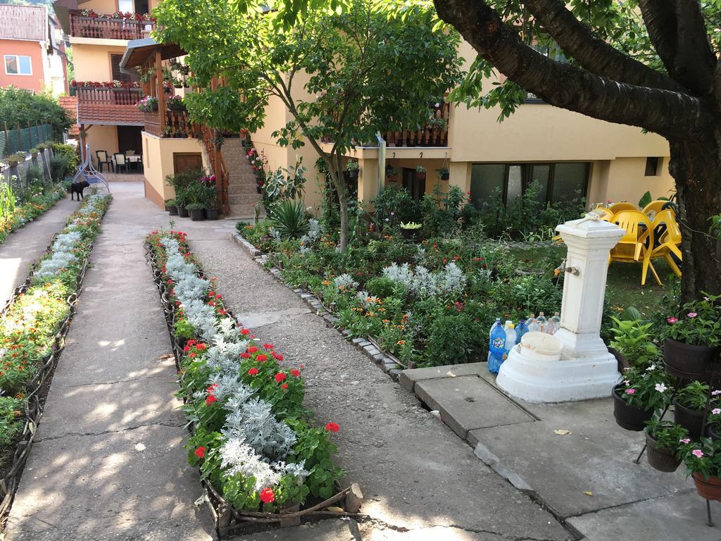 Apartament Pansion Velickovic Niska Banja Zewnętrze zdjęcie
