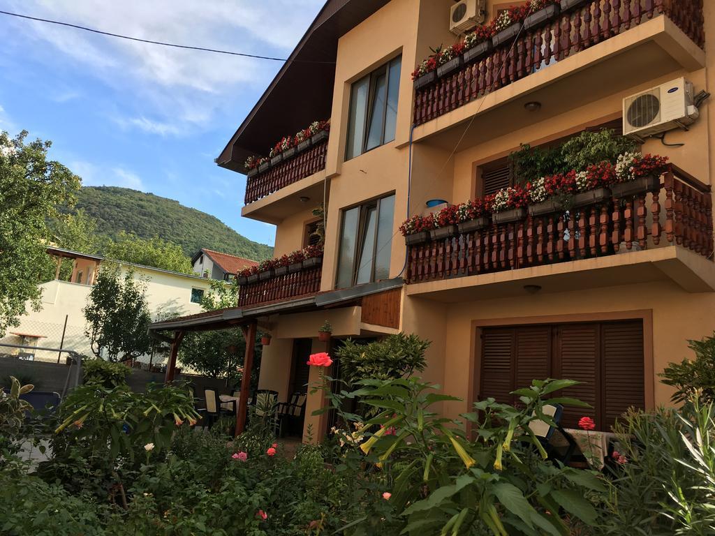 Apartament Pansion Velickovic Niska Banja Zewnętrze zdjęcie