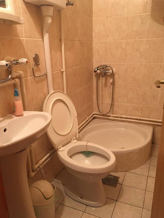 Apartament Pansion Velickovic Niska Banja Zewnętrze zdjęcie