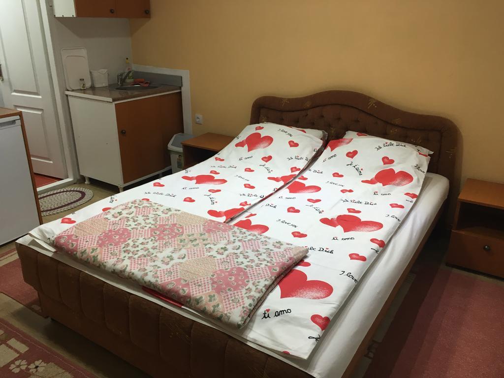 Apartament Pansion Velickovic Niska Banja Zewnętrze zdjęcie