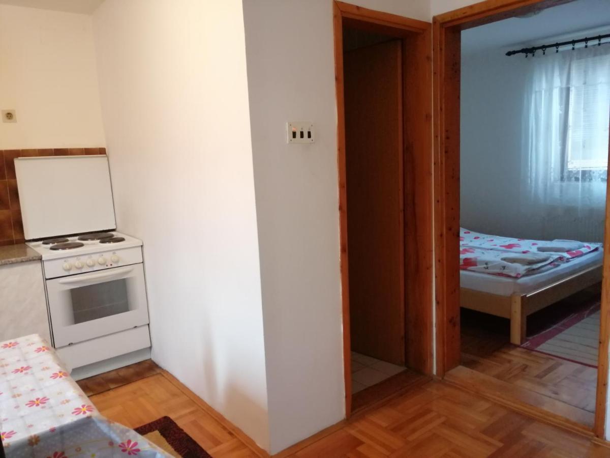 Apartament Pansion Velickovic Niska Banja Zewnętrze zdjęcie
