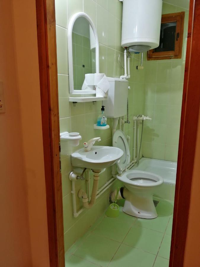 Apartament Pansion Velickovic Niska Banja Zewnętrze zdjęcie