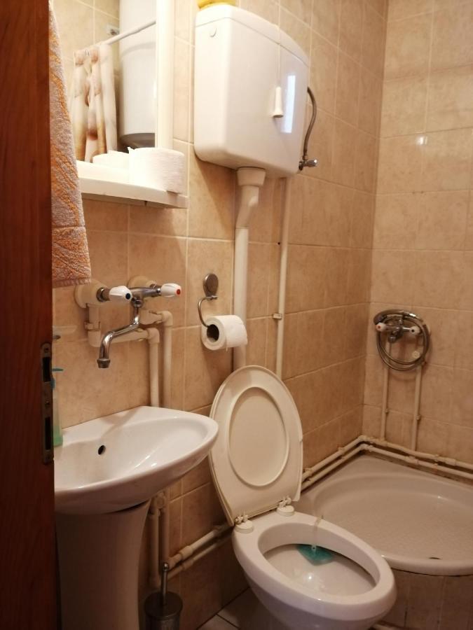 Apartament Pansion Velickovic Niska Banja Zewnętrze zdjęcie